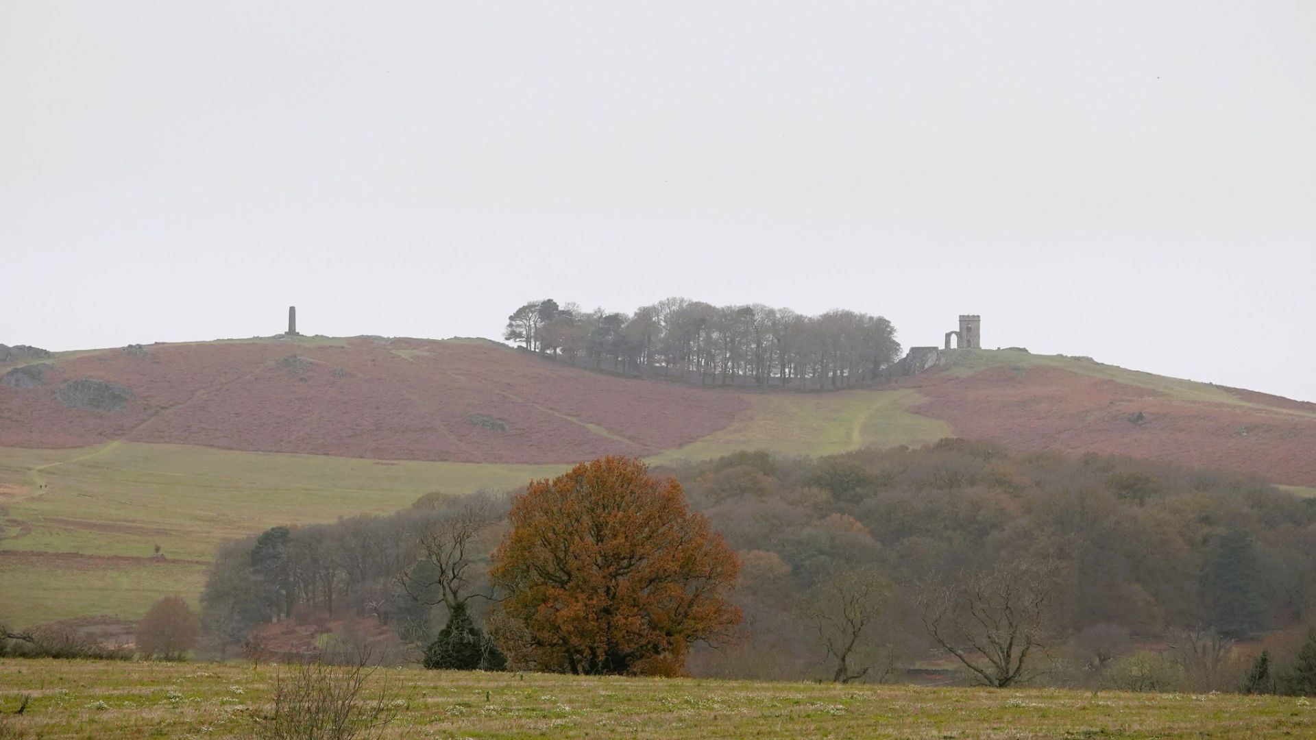 Old John in Bradgate Park